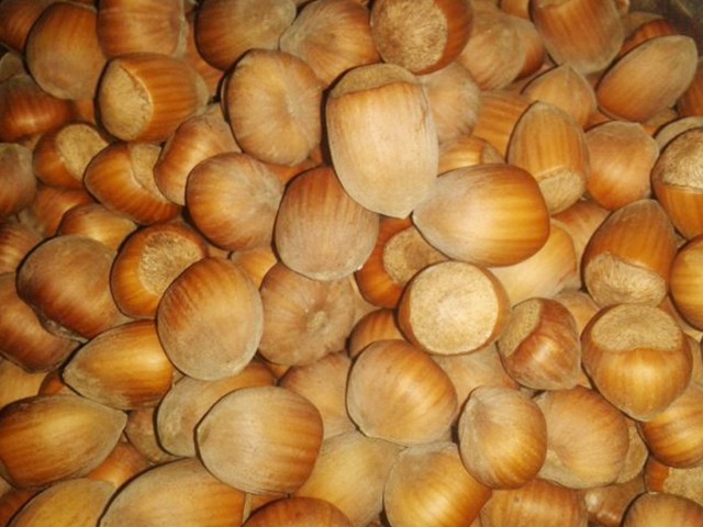 ISTARSKI DUGI